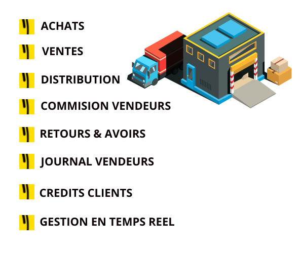 Gestion distribution ERP Tunisie